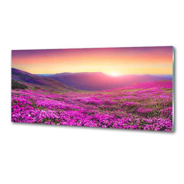 Glass splashback Pink hills