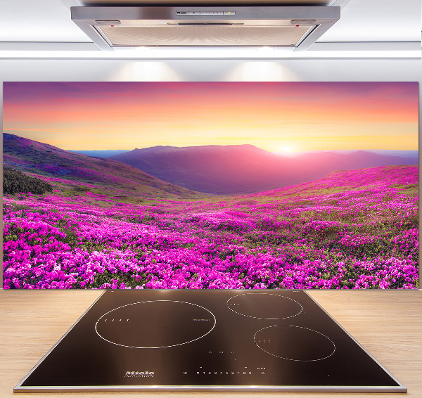 Glass splashback Pink hills