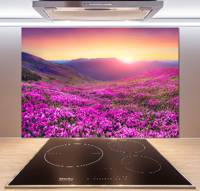 Glass splashback Pink hills