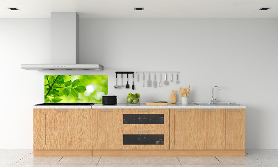 Hob splashback Green leaves