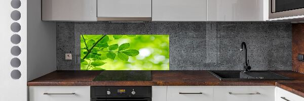 Hob splashback Green leaves