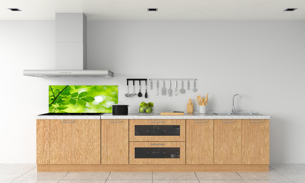 Hob splashback Green leaves