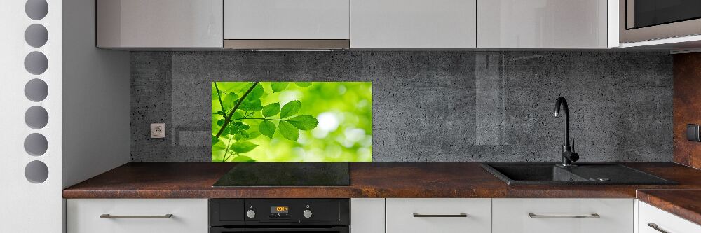 Hob splashback Green leaves