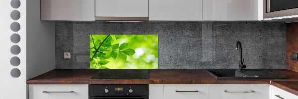 Hob splashback Green leaves