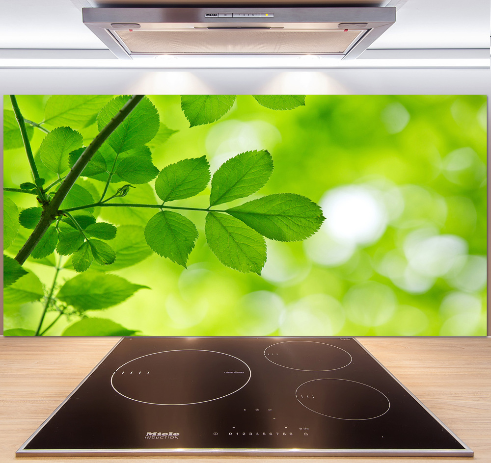 Hob splashback Green leaves