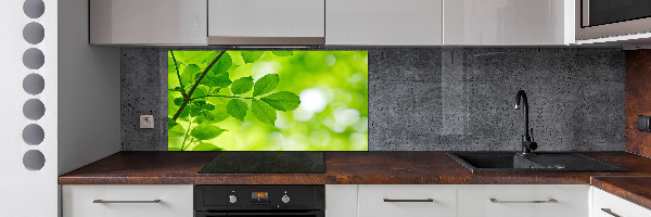 Hob splashback Green leaves