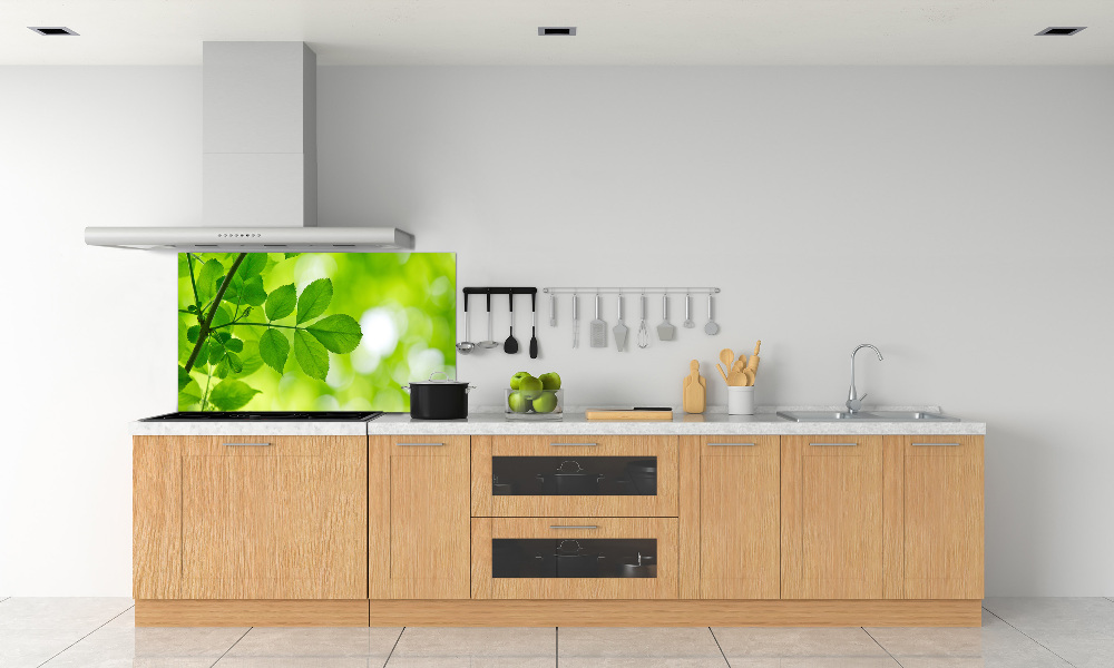 Hob splashback Green leaves