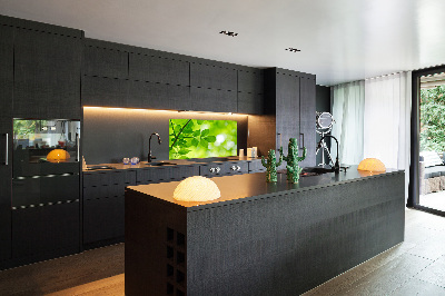 Hob splashback Green leaves