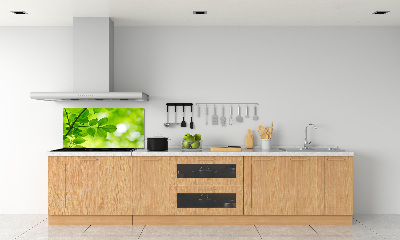 Hob splashback Green leaves