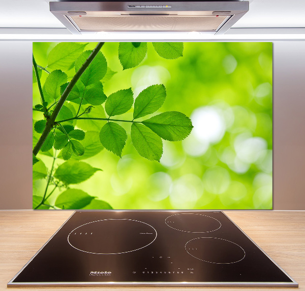 Hob splashback Green leaves