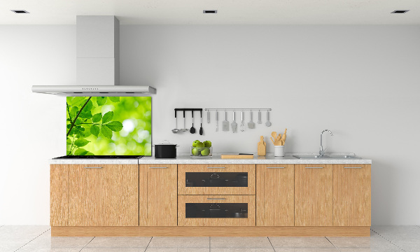 Hob splashback Green leaves