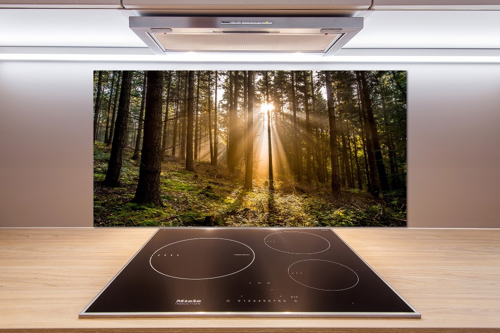 Cooker splashback Sunlight