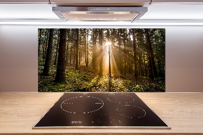 Cooker splashback Sunlight