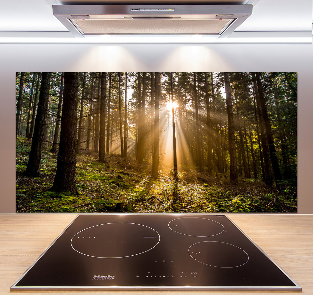 Cooker splashback Sunlight