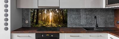 Cooker splashback Sunlight