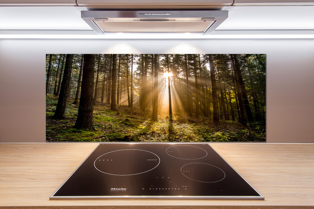 Cooker splashback Sunlight