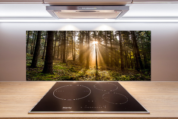 Cooker splashback Sunlight