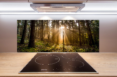 Cooker splashback Sunlight