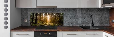 Cooker splashback Sunlight