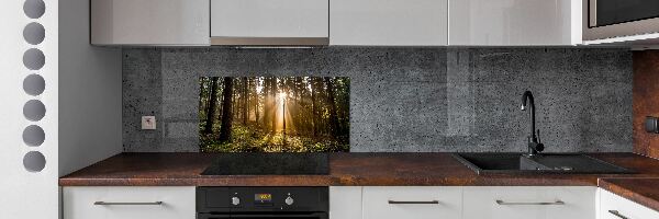 Cooker splashback Sunlight