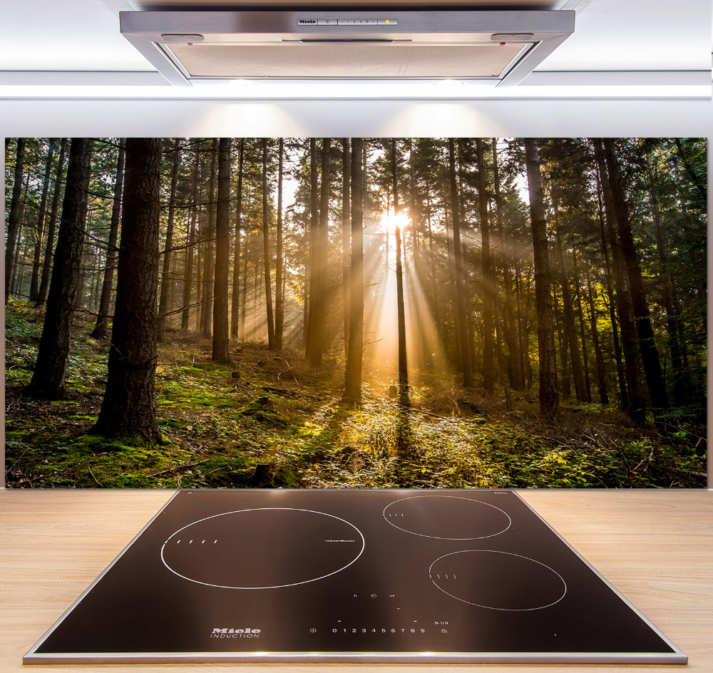 Cooker splashback Sunlight