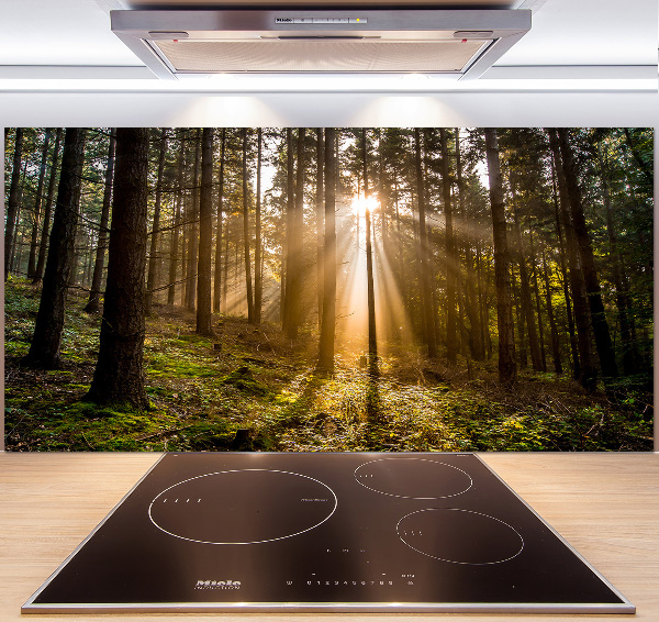 Cooker splashback Sunlight