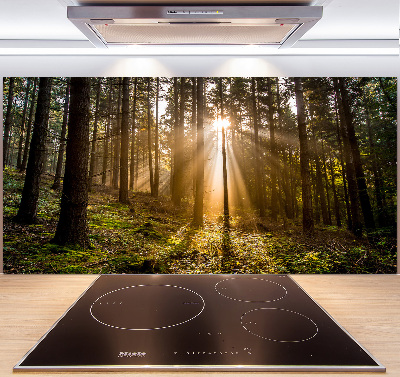 Cooker splashback Sunlight