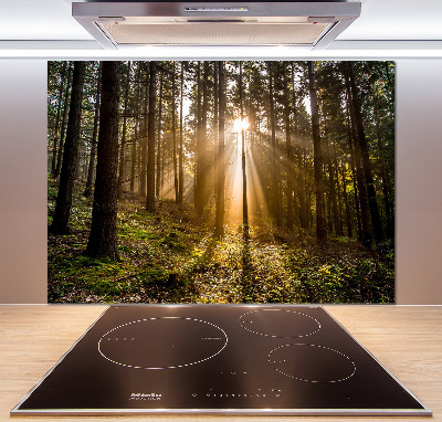 Cooker splashback Sunlight