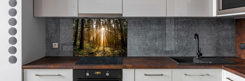 Cooker splashback Sunlight