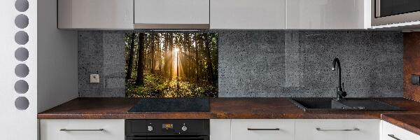 Cooker splashback Sunlight