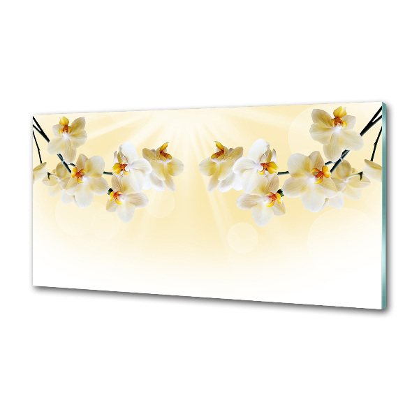 Cooker splashback Orchid