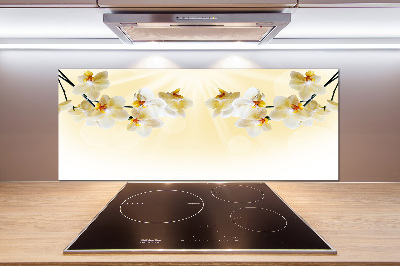 Cooker splashback Orchid