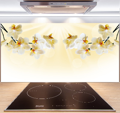 Cooker splashback Orchid