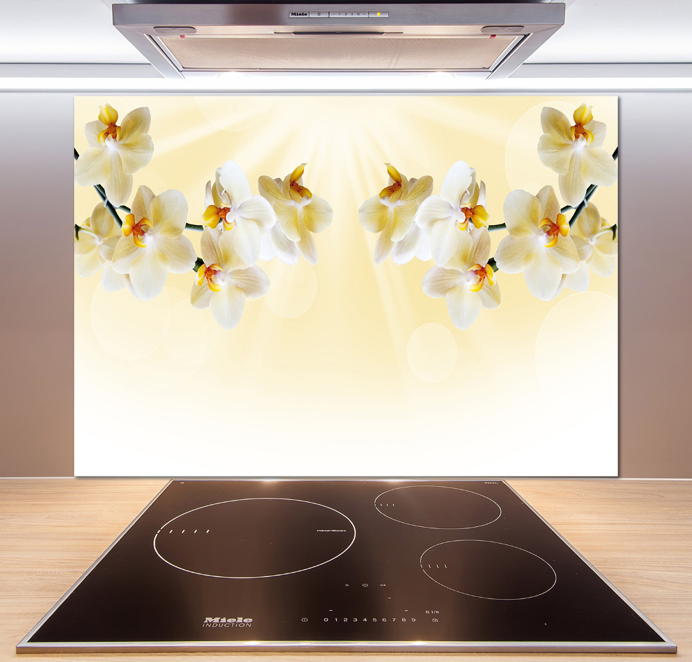 Cooker splashback Orchid