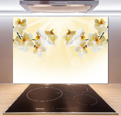 Cooker splashback Orchid