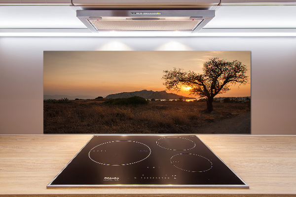 Kitchen splashback Sunset