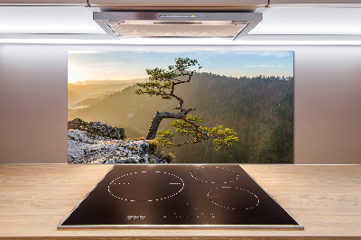 Kitchen splashback Sokolica Pieniny