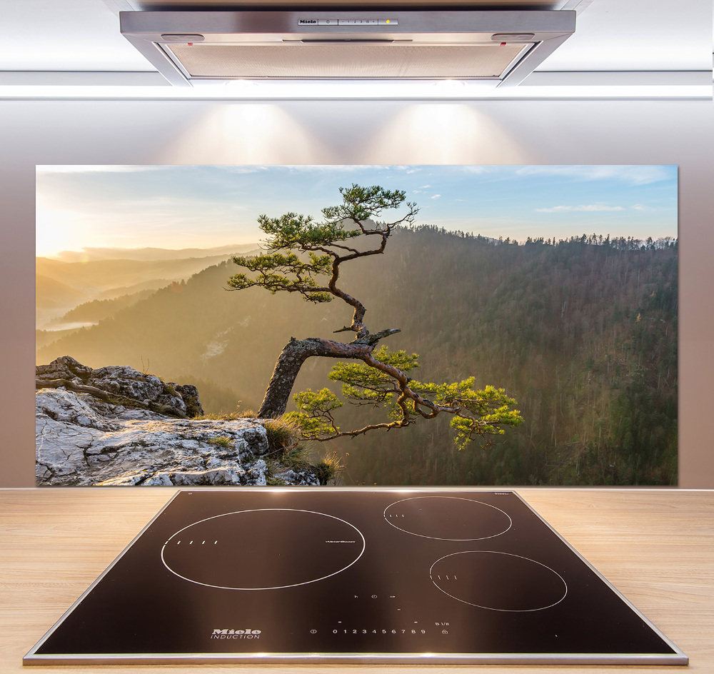 Kitchen splashback Sokolica Pieniny