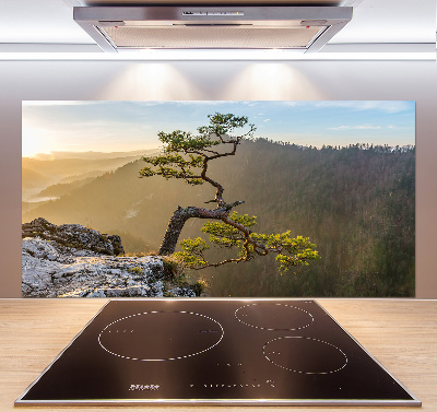 Kitchen splashback Sokolica Pieniny