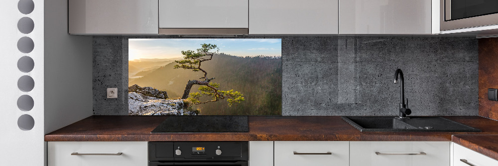 Kitchen splashback Sokolica Pieniny