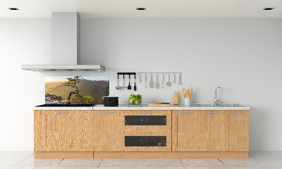 Kitchen splashback Sokolica Pieniny