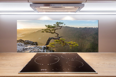 Kitchen splashback Sokolica Pieniny