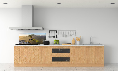 Kitchen splashback Sokolica Pieniny