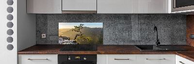 Kitchen splashback Sokolica Pieniny