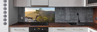 Kitchen splashback Sokolica Pieniny