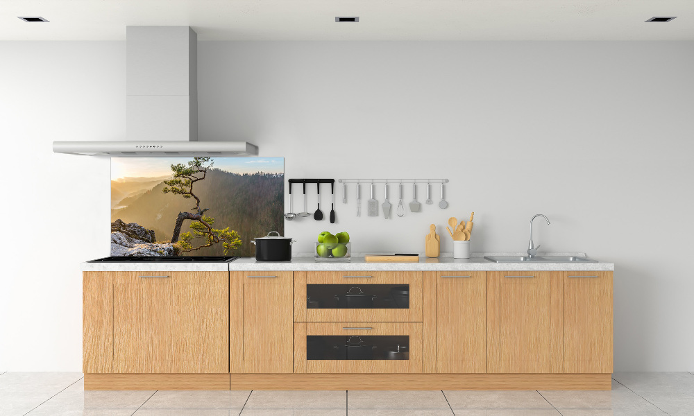 Kitchen splashback Sokolica Pieniny