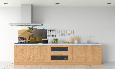 Kitchen splashback Sokolica Pieniny