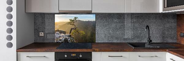 Kitchen splashback Sokolica Pieniny