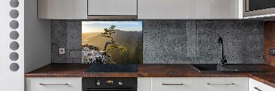 Kitchen splashback Sokolica Pieniny