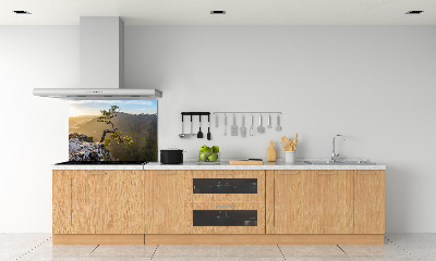 Kitchen splashback Sokolica Pieniny